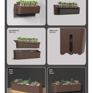 Plantsy - Image 3